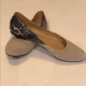 Violet & Red Vicky Suede Flats